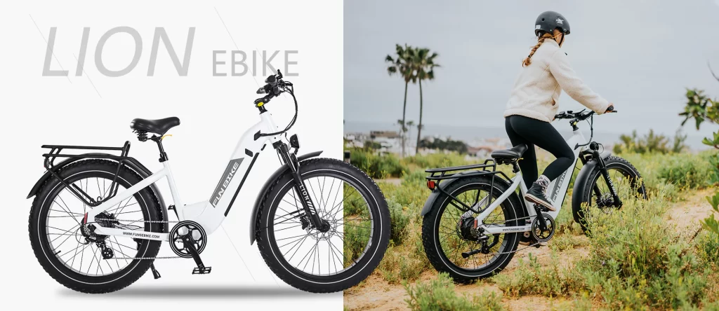 FUNBIKE LION REVIEW